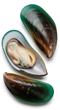 Open mussel shell with iridescent interior, displaying succulent meat, representing seafood delicacy and ocean bounty for gourmet food concepts