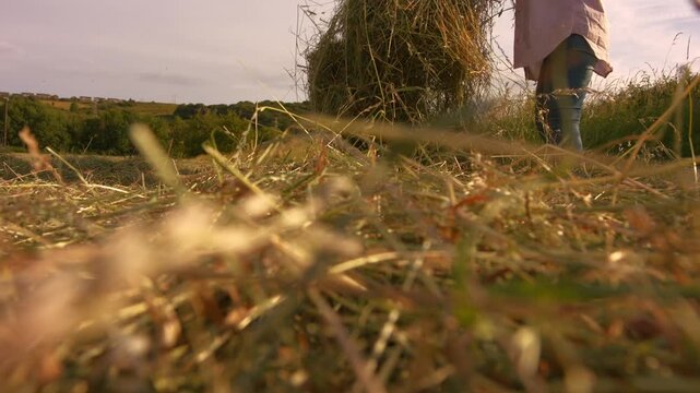 Female farmer picks up piles of grass hay in field