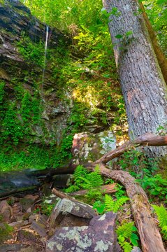 A cliff overhanging a hiking trail in Chattahoochee National Forest, with a small stream of water falling over the edge.