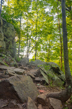 Rocky hiking trail in Chattahoochee National Forest, Georgia