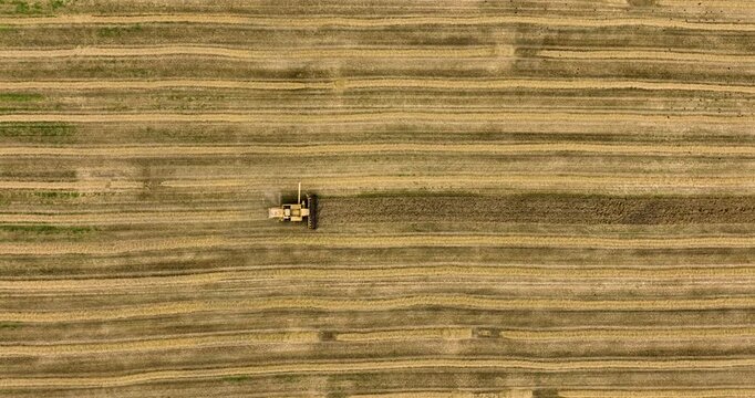 Aerial Top Down View of Combine Harvester Cutting Ripe Crop in Striped Field