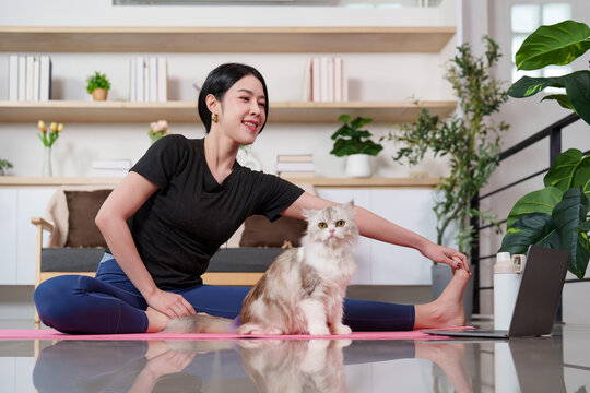 Asian woman stretching on yoga mat following online class on laptop with cat