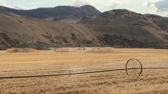 Field irrigation. Automatic field irrigation in Canada. drought.