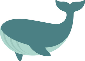 whale © maridownload