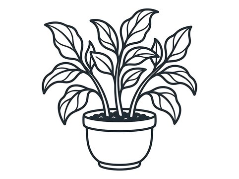Potted green leafy houseplant in a ceramic pot