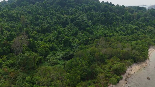 Aerial drone video pulling out and flying backward, revealing a large tropical island covered in dense green rainforest and its sandy coastline with clear ocean water
