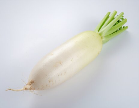 fresh daikon white radish