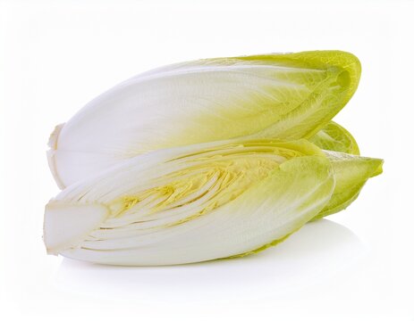 fresh endive on a white background