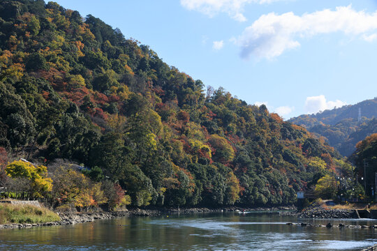 秋の宇治川