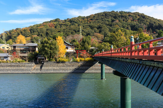 秋の宇治川と朝霧橋