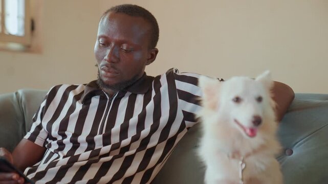 Black man and white dog closeup on sofa with man checking mobile, dog panting and alert with tongue out, striped shirt, natural window light, warm cinematic tone, candid lifestyle portrait