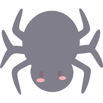 vector illustration of a spider 