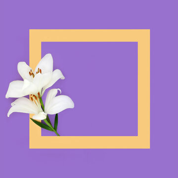 White lily flower decoration symbol of purity on purple background. Decorative floral composition for greeting card. Copy space.

