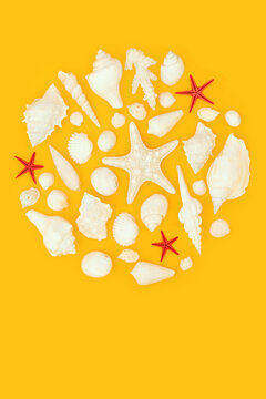 White seashell red starfish circular design on yellow background. Summer seaside decorative art symbol for greeting card. 