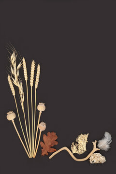 Zen natural objects of nature design on dark gray background. Decorative art with flora, driftwood, feathers, rocks. Harmony concept.