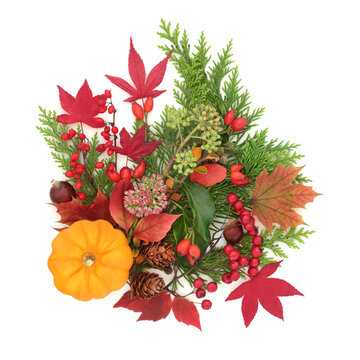 Autumn Fall Halloween Nature Foliage and Pumpkin Design
