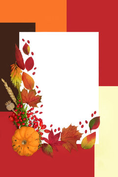 Halloween Autumn nature colorful pumpkin, berry, flower, leaf design on red, orange, brown, cream background. Seasonal warm vibrant hues.