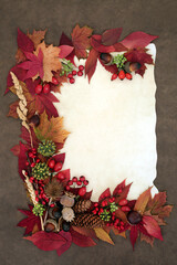 Fototapeta premium Autumn berries, vivid red maple leaves, grasses, symbols on parchment paper on brown grunge background. Fall nature design for Samhain Harvest festival. 