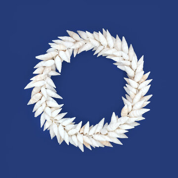 Auger seashell wreath on blue background. Decorative art seaside beautiful symbol for greeting card.

