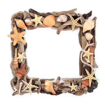 Starfish and sea shells driftwood frame on white background. Natural square shape design of coastal and beach art. Copy space. 