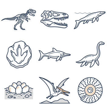 Collection of dinosaur and prehistoric creature illustrations