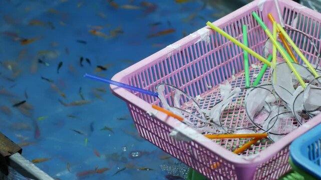 Colorful Small Fish Swimming in Blue Plastic Pool Carnival Game Tank