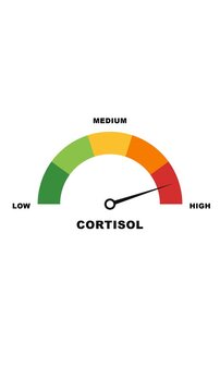 Isolated cortisol stress level gauge animation with smooth needle sweep on solid white background motion overlay