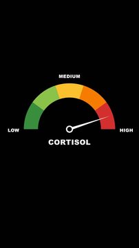 Isolated cortisol stress level gauge animation with smooth needle sweep on solid black background motion overlay