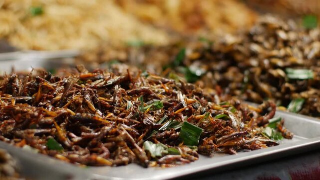 Crispy Fried Grasshoppers Insect Snack Close Up Thai Street Food