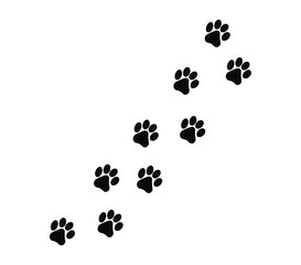paw print on white background