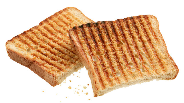 Two grilled toast slices with grill marks