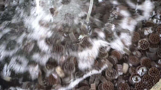 Kaldnes Biofilter Media in Recirculating Aquaculture System RAS &ndash; Biological Water Filtration for Sustainable Fish Farming 4K Video