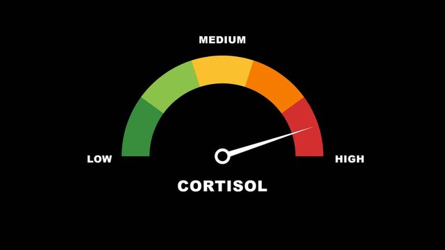 Isolated cortisol stress level gauge animation with smooth needle sweep on solid black background motion overlay