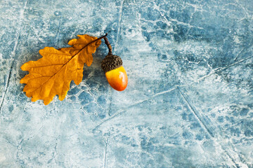 Single acorn with golden oak leaf on blue textured background with wide copy space for autumn harvest design © Svetlana Kolpakova