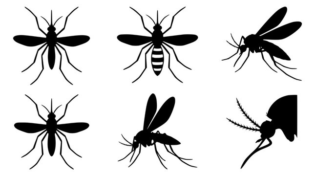Detailed mosquito silhouette vector graphic collection for scientific medical design projects