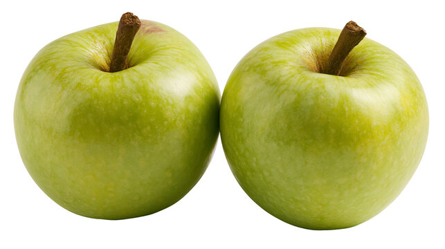 Two green apples with brown stems