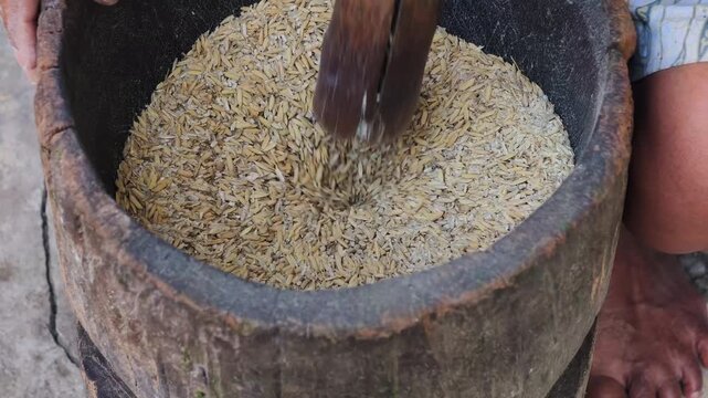 Traditional rice pounding process using wooden mortar (lesung) to separate husk from grain in Indonesia.