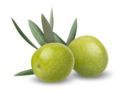 Fresh green olive with leaf isolated on white background. Nutritious ingredient for mediterranean diet, healthy food and delicious oil. Natural beauty product and organic cosmetics.