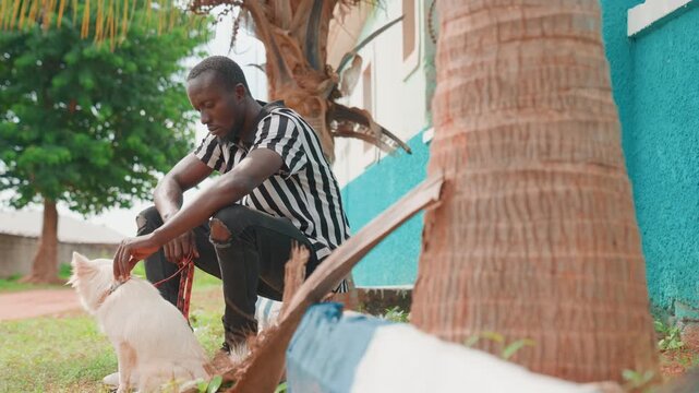 Gentle man interacts with pets. Kneeling man gently strokes small white dog on sunny street corner. Sunlit urban scene where man kneels to lovingly pet small white dog near turquoise wall