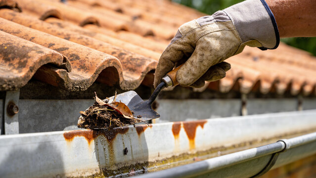 Cleaning gutter to improve water flow for irrigation system