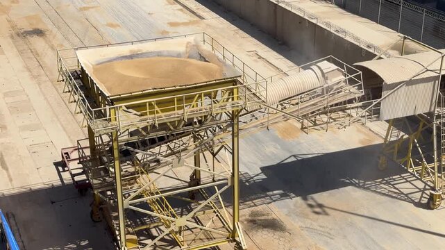 grain inside hopper leaking down to conveyor belt. port cargo operations.
