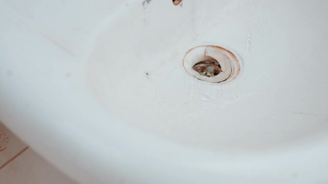 Closeup dirty sink drain with rust. Porcelain basin stained with grime and mineral buildup, chipped enamel around drain, muted lighting, abandoned household mood, texture details for renovation,