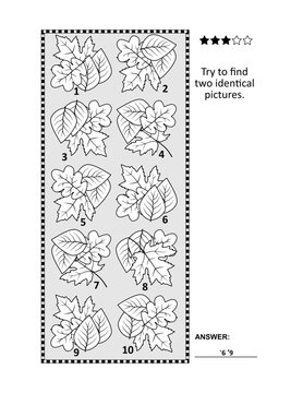 Find two identical pictures with autumn leaves visual puzzle. Answer included.
