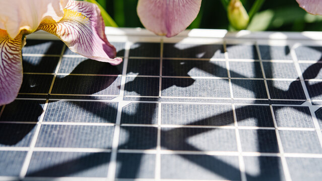 Solar panels support crops in a sustainable agrivoltaics system for dual land use