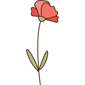 red flower isolated on white background