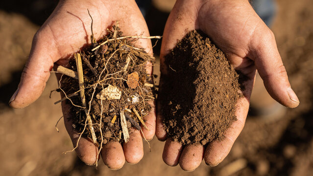 Hands holding soil and compost with plant residue at a regenerative agriculture site