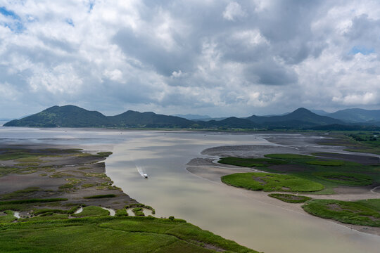 Small Boat Traveling Through Suncheon Bay Wetland