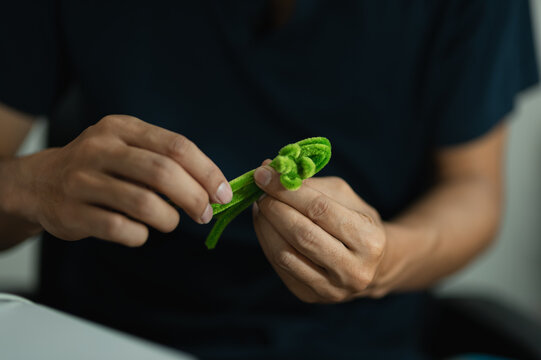 Close-up of hands shaping green clay with spiral design for creative craft project