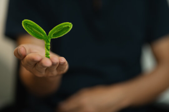 Hand Holding Small Green Plant Seedling with Soil on Dark Background