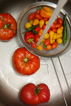 Fresh Homegrown Tomatoes Being Washed Under Running Water in Kitchen Sink, Healthy Food Preparation